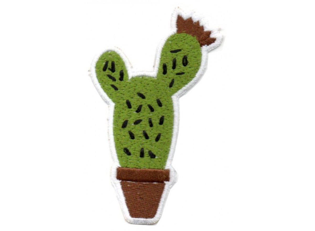 Pianta Cactus